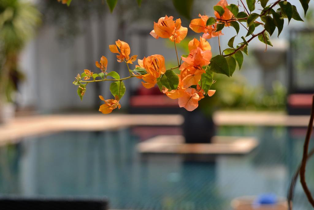 Eureka Villas Siem Reap Bagian luar foto