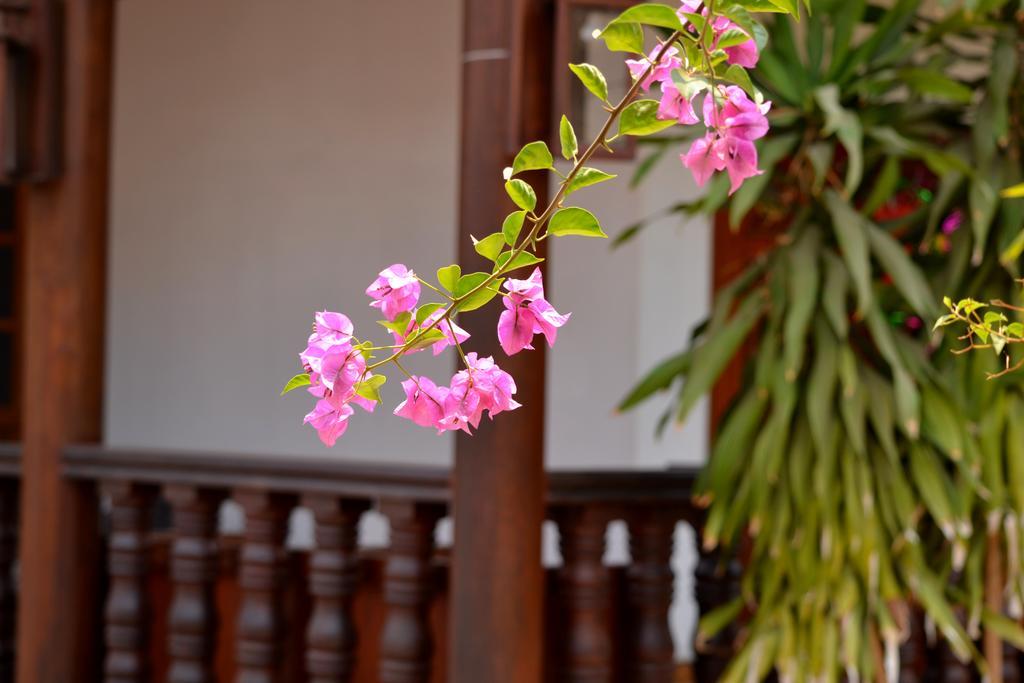 Eureka Villas Siem Reap Bagian luar foto